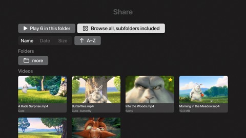 FolderVideoPlayer on Apple TV — screen 4